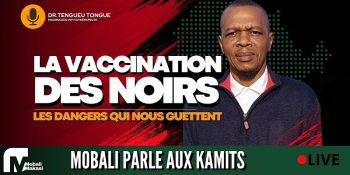 [Afrique] Vaccination Covid-19 et anti-paludisme : Les dangers qui nous guettent !